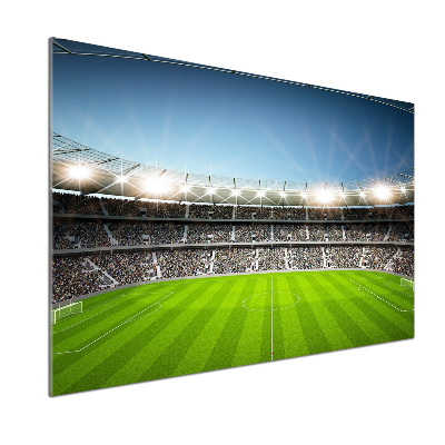 Glasrückwand für die küche Stadion