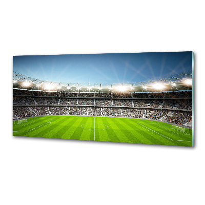 Glasrückwand für die küche Stadion