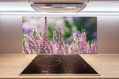 Glasrückwand für die küche Heidekrautblüten