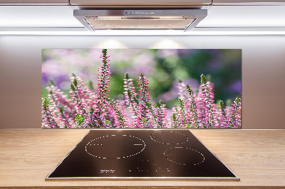 Glasrückwand für die küche Heidekrautblüten