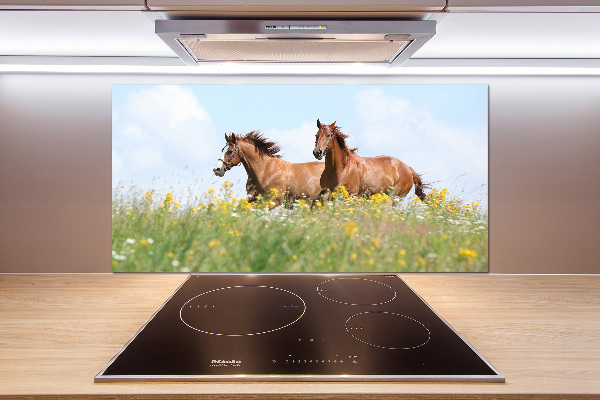 Glasrückwand für die küche Zwei galoppierende Pferde