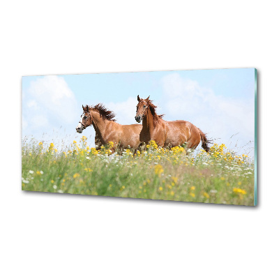 Glasrückwand für die küche Zwei galoppierende Pferde