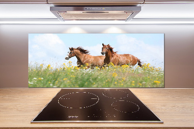Glasrückwand für die küche Zwei galoppierende Pferde
