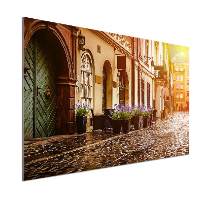 Glasrückwand für die küche Krakau, Polen