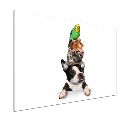 Küchen wandpaneel Eine Gruppe von Tieren