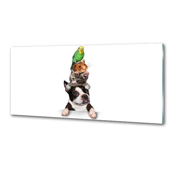 Küchen wandpaneel Eine Gruppe von Tieren