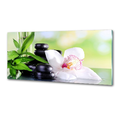 Platte für Küchenrückwand Orchidee