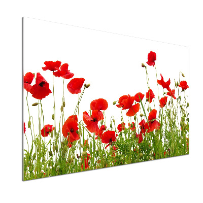 Küchen wandpaneel Mohnblumen