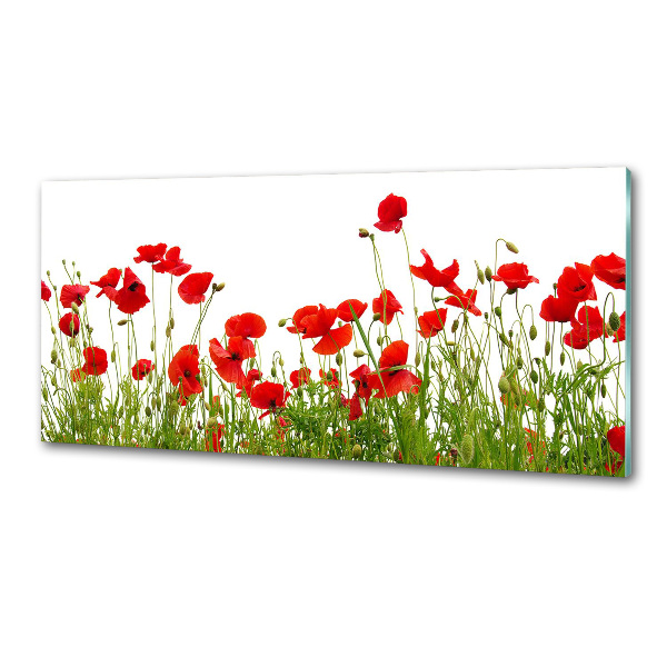 Küchen wandpaneel Mohnblumen