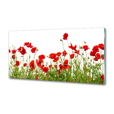 Küchen wandpaneel Mohnblumen