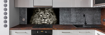 Glasrückwand für die küche Löwe