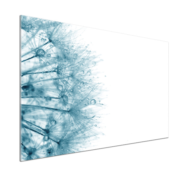 Platte für Küchenrückwand Löwenzahn