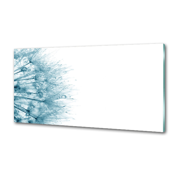 Platte für Küchenrückwand Löwenzahn