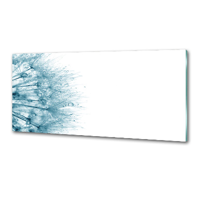 Platte für Küchenrückwand Löwenzahn