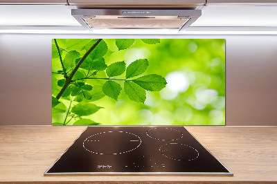 Glasrückwand für die küche Grüne Blätter