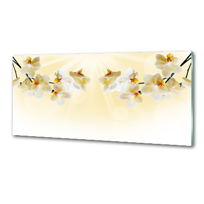 Küchen wandpaneel Orchidee