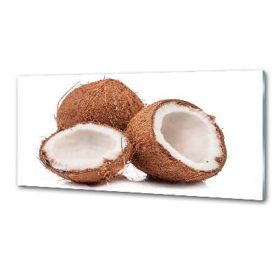 Glasrückwand für die küche Kokosnuss