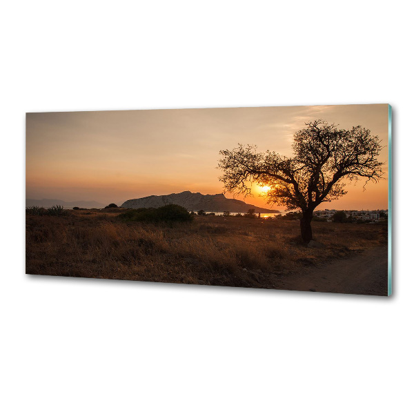 Küchen wandpaneel Sonnenuntergang