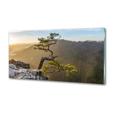 Glasrückwand für die küche Sokolica Pieniny