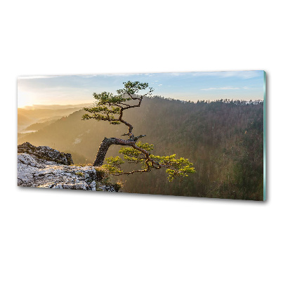 Glasrückwand für die küche Sokolica Pieniny