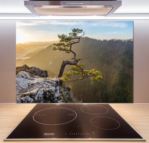 Glasrückwand für die küche Sokolica Pieniny