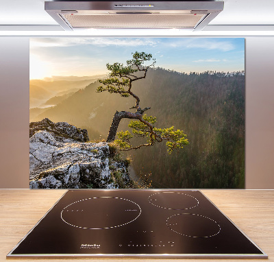 Glasrückwand für die küche Sokolica Pieniny