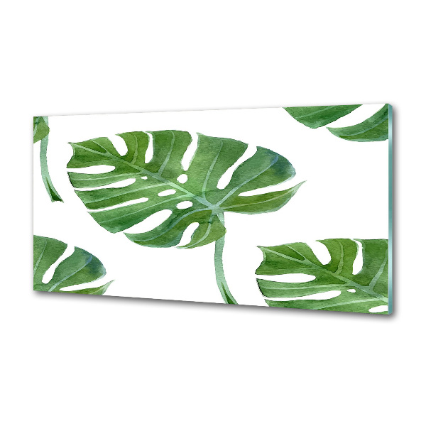 Küchen wandpaneel Monstera