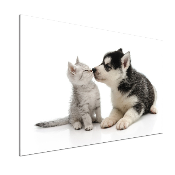 Glasrückwand für die küche Hund und Katze