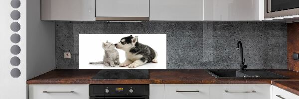 Glasrückwand für die küche Hund und Katze