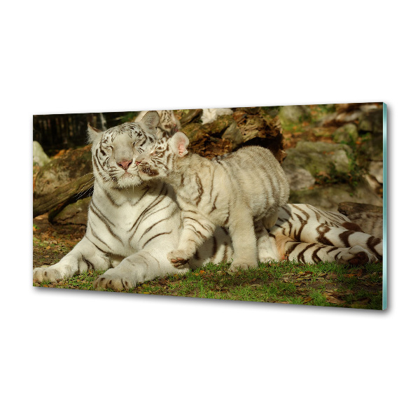 Platte für Küchenrückwand Tiger