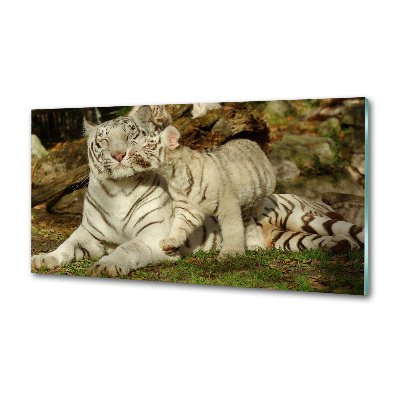 Platte für Küchenrückwand Tiger