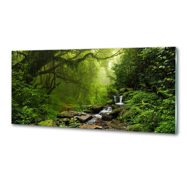 Glasrückwand für die küche Dschungel in Nepal