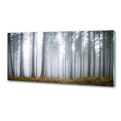 Platte für Küchenrückwand Nebel im Wald