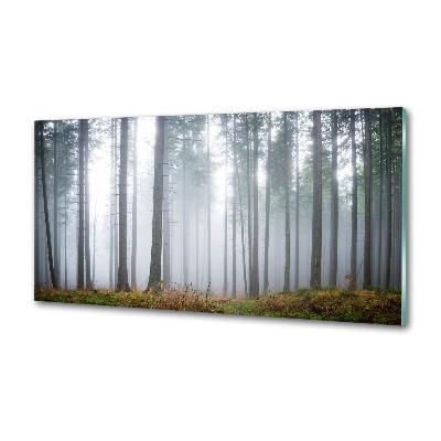 Platte für Küchenrückwand Nebel im Wald