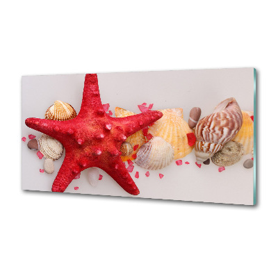 Küchen wandpaneel Seesterne und Muscheln