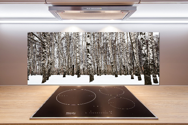 Platte für Küchenrückwand Birken im Winter