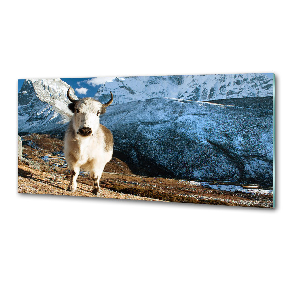 Platte für Küchenrückwand Wie Berge