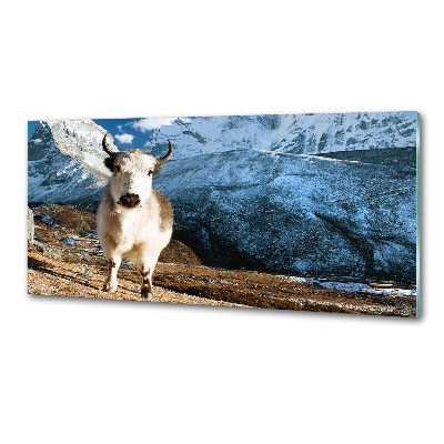 Platte für Küchenrückwand Wie Berge