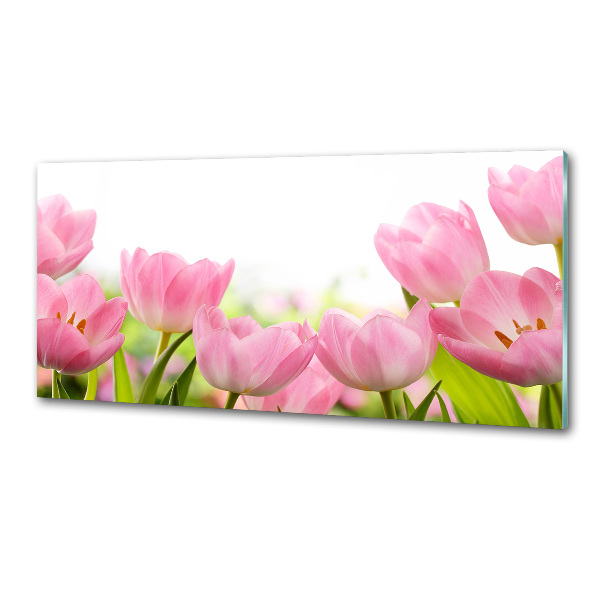 Glasrückwand für die küche Rosa Tulpen