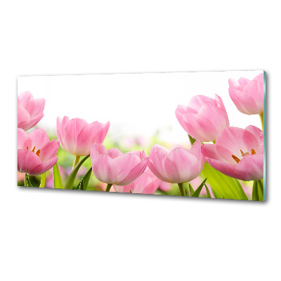 Glasrückwand für die küche Rosa Tulpen