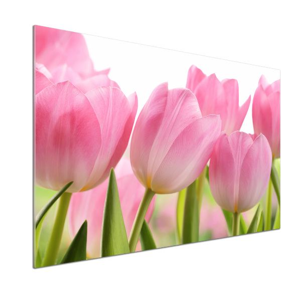Platte für Küchenrückwand Rosa Tulpen