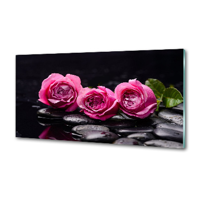 Glasrückwand für die küche Rosa Rosen