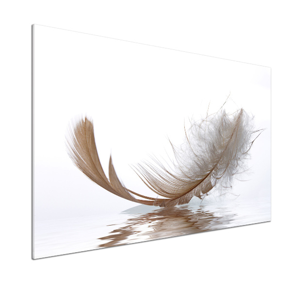 Glasrückwand für die küche Eine Feder auf dem Wasser