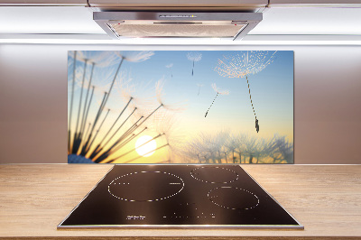 Glasrückwand für die küche Löwenzahnsamen