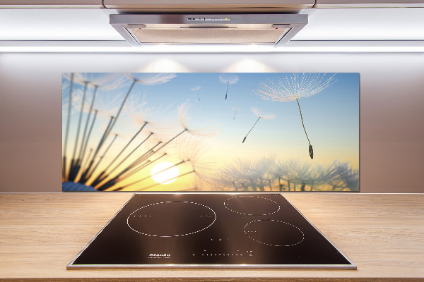 Glasrückwand für die küche Löwenzahnsamen