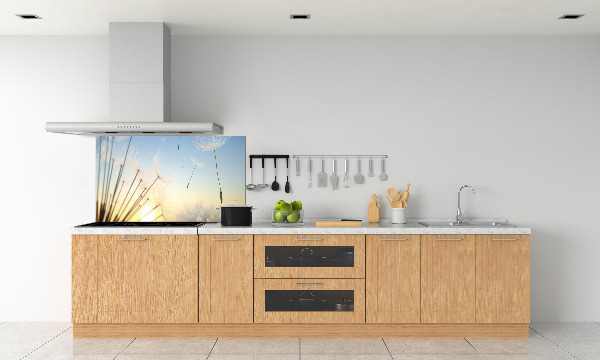 Glasrückwand für die küche Löwenzahnsamen