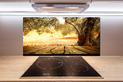 Platte für Küchenrückwand Olivenbaum