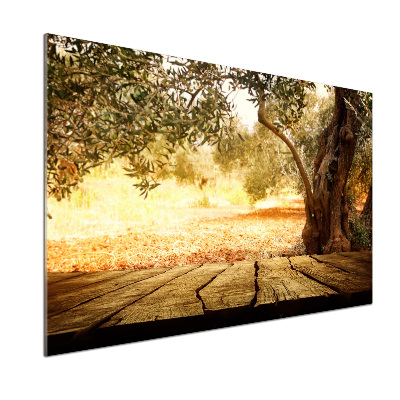 Platte für Küchenrückwand Olivenbaum