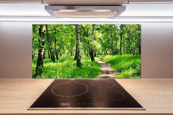 Glasrückwand für die küche Birkenwald