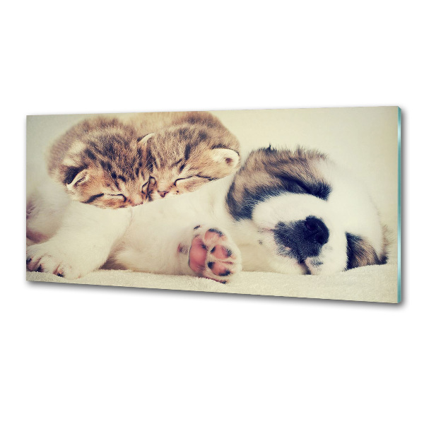 Küchen wandpaneel Zwei Katzen und ein Hund